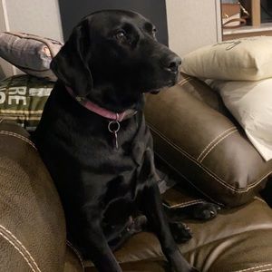 Meet your Posher, Kerry